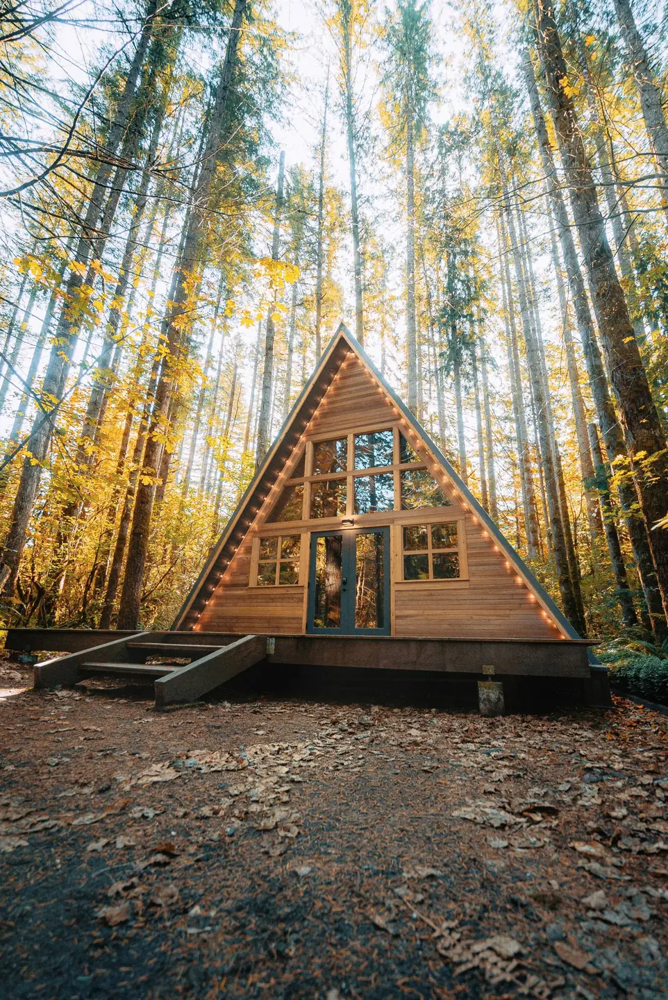 An A-frame cabin among trees