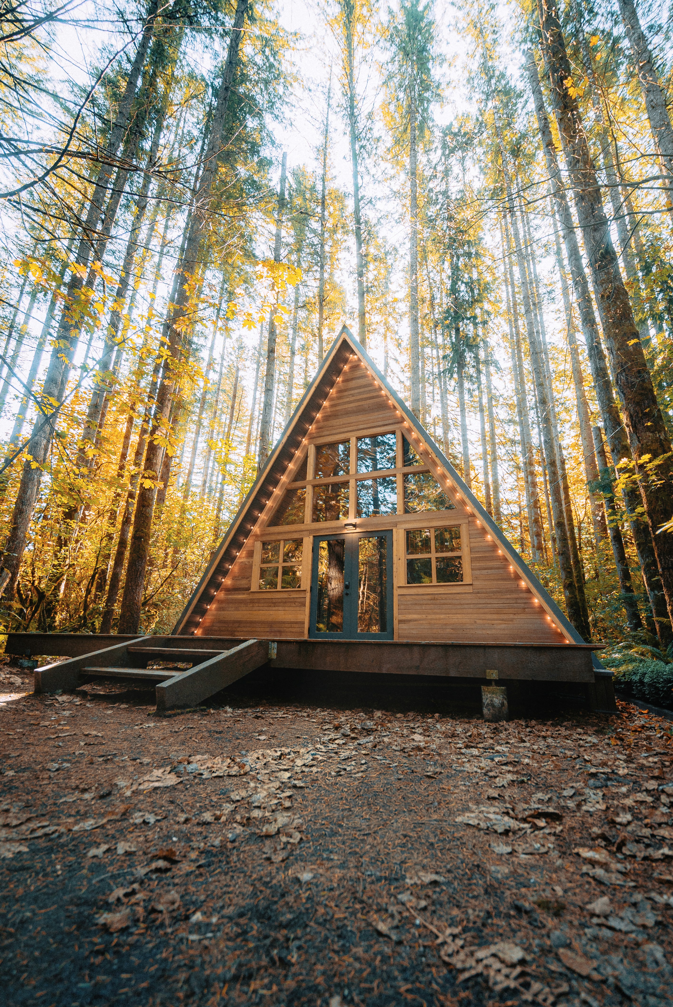 An A-frame cabin among trees